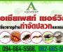 บริษัท เอเชียเพสท์ เซอร์วิส จำกัด (Asia Pest กำจัดปลวก นนทบุรี)